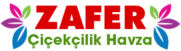 Havza çiçekçi - Havza çiçek siparişi