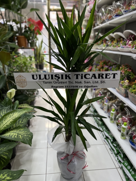 2Lİ ÇELİK YUKA