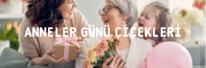 Öneçıkan Ürün